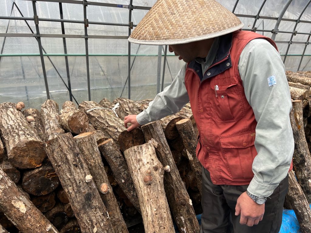 山村地域の農業の現状調査